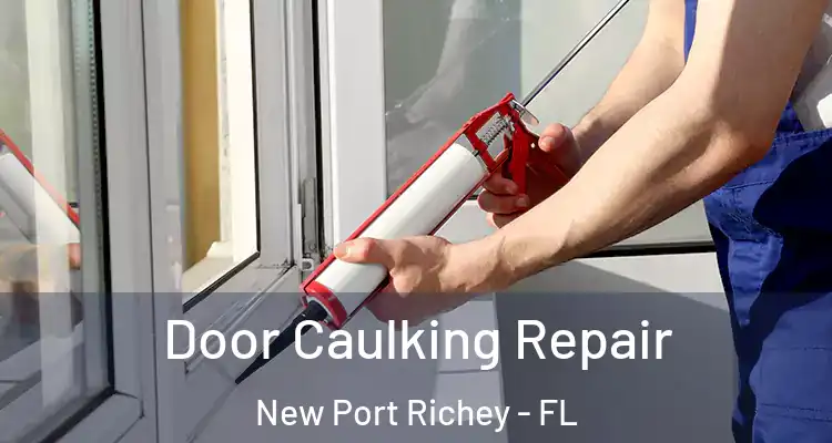  Door Caulking Repair New Port Richey - FL