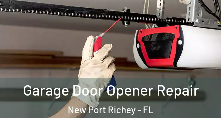  Garage Door Opener Repair New Port Richey - FL