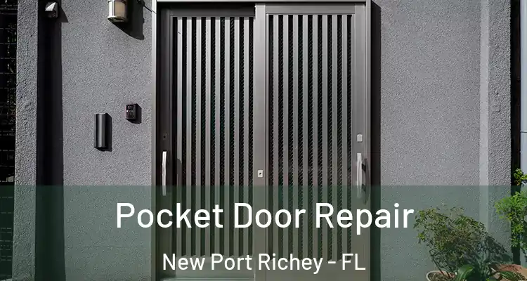 Pocket Door Repair New Port Richey - FL