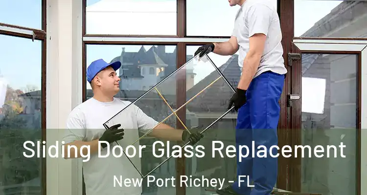  Sliding Door Glass Replacement New Port Richey - FL